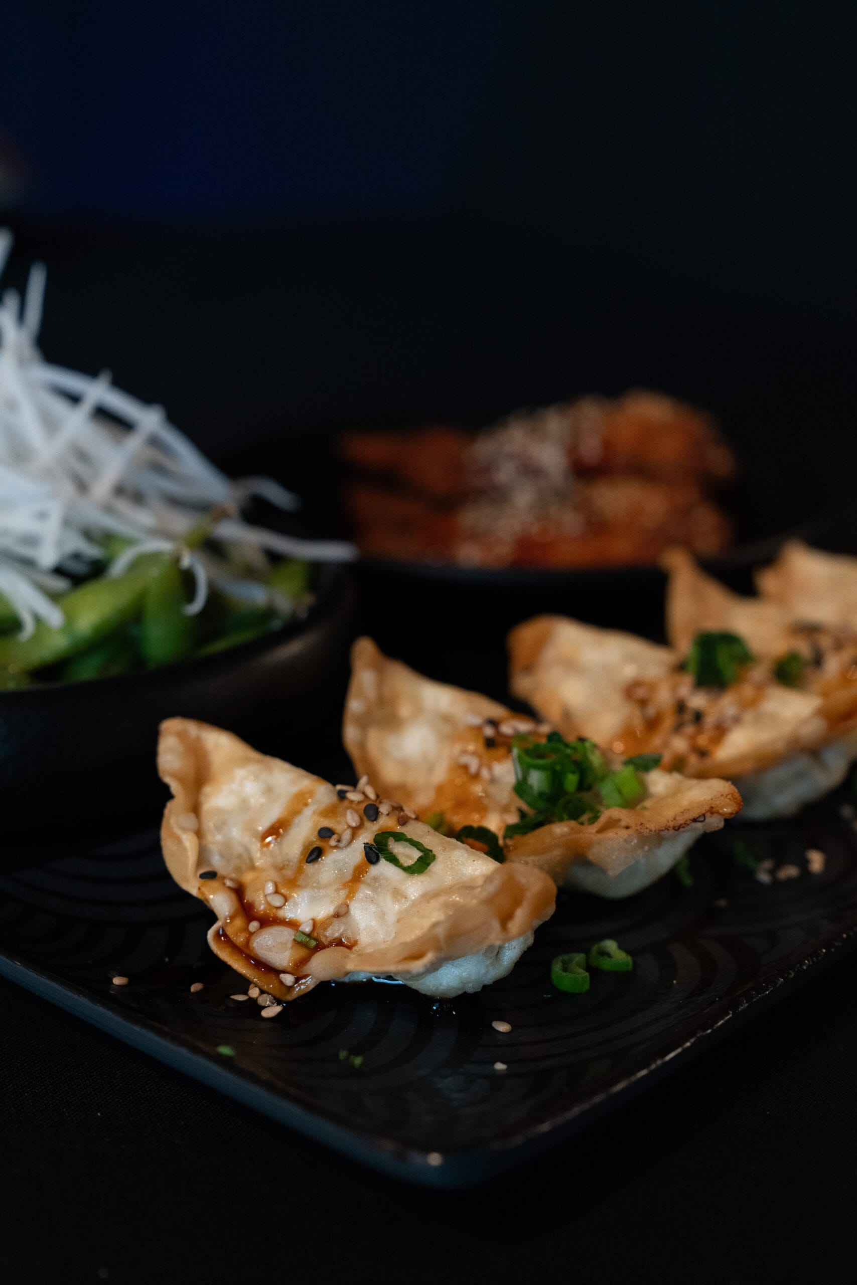 Gyoza Chicken (5 Stück)